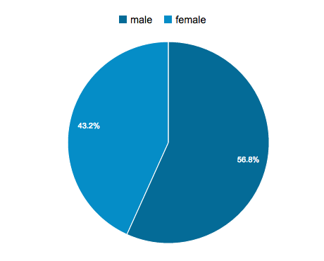 Google Analytics Display Advertising code demographics