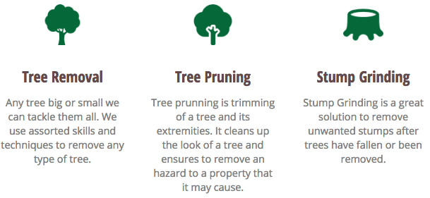 owen sound tree service