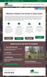 owen sound tree removal
