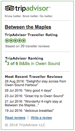 Trip advisor